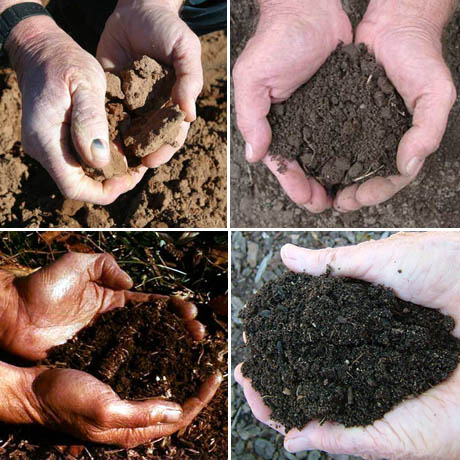 Soil hands