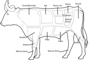 Cow Tunnels | Edible Geography