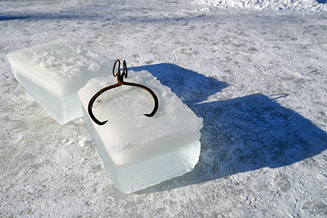 Ice Tongs Photos and Images & Pictures